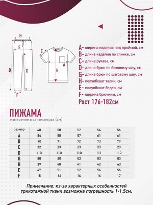 Пижама мужская арт 20824-1