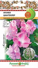 Цветы Ипомея Шантеклер (3шт)