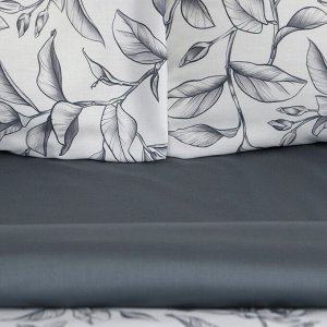 Постельное бельё Этель 2 сп Magnolia, 175х215 см, 200х220 см, 50х70 см -2 шт, мако-сатин 114г/м2