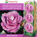 Роза Дойче Велле (Флорибунда) 1шт (Сиб сад)