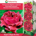Роза Барон Жиро де Лен (Шраб) 1шт (Сиб сад)