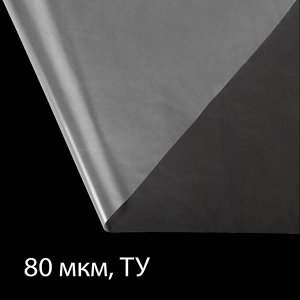 Плёнка полиэтиленовая 80 мкм, прозрачная, длина 10 м, ширина 3 м, рукав (1.5 м ? 2), Эконом 50%