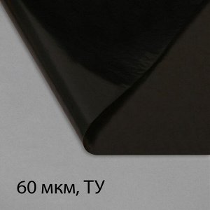 Плёнка полиэтиленовая, техническая, толщина 60 мкм, 10 ? 3 м, рукав (2 ? 1,5 м), чёрная, 2 сорт, Эконом 50 %