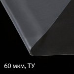 Плёнка полиэтиленовая, толщина 60 мкм, 5 ? 3 м, рукав (1,5 м ? 2), прозрачная, Эконом 50 %