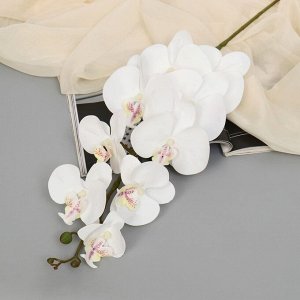 Цветы искусственные "Орхидея фаленопсис бархатистая" 10х90 см, белый