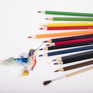 Карандаши цветные акварельные классические мягкие BRAUBERG 24 цвета с КИСТЬЮ, 181849