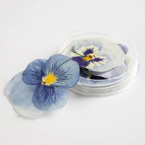 Цветы съедобные «Виола светло-голубая» для капкейков, тортов, куличей, напитков, 5 шт.