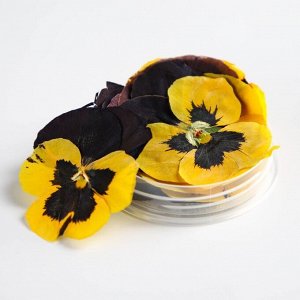 Цветы съедобные KONFINETTA «Виола тёмно-желтая» для капкейков, тортов, куличей, напитков, 5 шт.