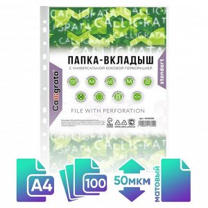 Файл - вкладыш Calligrata «Люкс», А4, 50 мкм, матовый, вертикальный, 100 штук