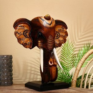 Сувенир "Голова слона" на подставке, албезия 45 см