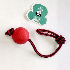 Игрушка "Резиновый шар на веревке"