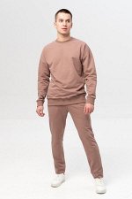 Брюки мужские 23-423M3-31 капучино