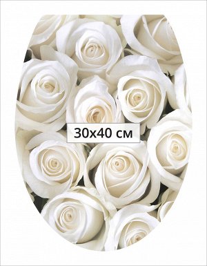Декоративные виниловые наклейки 30*40 Розы белые