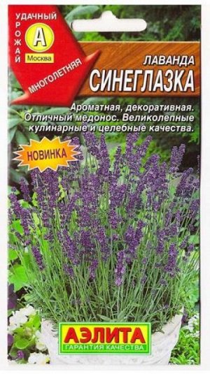 Лаванда Синеглазка (Код: 9376)