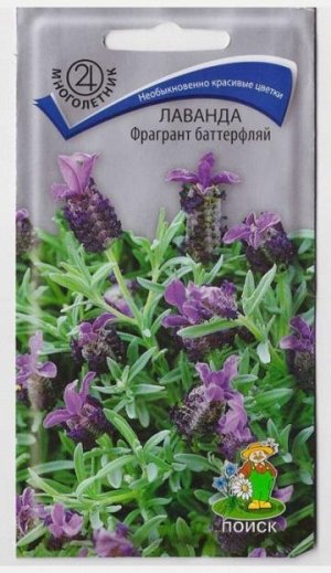 Лаванда Фрагрант баттерфляй (Код: 10573)
