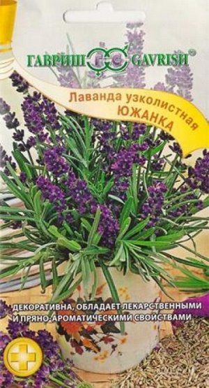 Лаванда Южанка (Код: 82740)