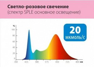 Светодиодная лента с фитоспектром (комплект) 2м. Спектр для фотосинтеза. Адаптер 18Вт. ULS-P71-2835-42LED/m-IP65-2M-SPLE RRP18C00