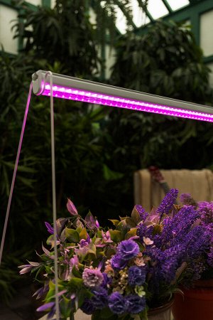 Светильник для растений светодиодный линейный, 570мм, выкл. на корпусе. Пластик. Спектр для рассады и цветения. ULI-P28-11W/SPSB IP20 WHITE