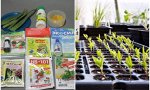 Уценка Стимуляторы, регуляторы роста растений