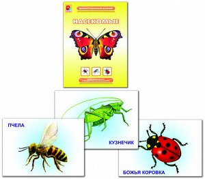 Радуга. Демонстрационный материал "Насекомые" арт.С-770