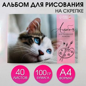 Альбом для рисования на скрепках А4, 40 листов «Котёнок» (обложка 160 г/м2, бумага 100 г/м2).