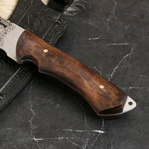 Нож кавказский, туристический "Беркут" с ножнами, сталь - 40х13, рукоять - орех, 14.5 см