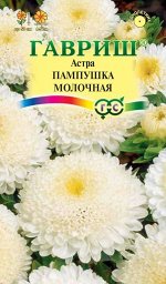 Семена Цветы Астра Пампушка молочная 0,3г (помпонная) Гавриш