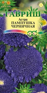Семена Цветы Астра Пампушка черничная 0,3г (помпонная) Гавриш