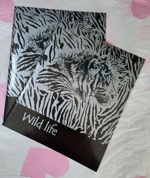 Тетрадь для записей Клетка WILD LIFE 48 л Тигр