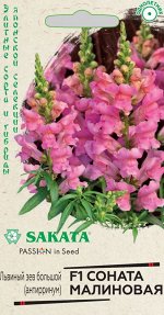 Семена Цветы Антирринум (Львиный зев) Соната малиновая 7 шт.Гавриш (Саката)