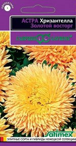 Семена Цветы Астра Хризантелла Золотой восторг (хризантемовидная) 0,05 г Гавриш