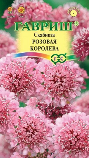 Семена Цветы Скабиоза темнопурпурная Розовая королева махр. 6 шт