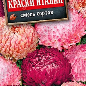 Астра Краски Италии, смесь сортов