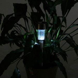Садовый светильник на солнечной батарее «Цилиндр», 5.5 ? 35 ? 5.5 см, 1 LED, свечение белое