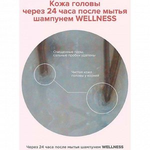 Likato Шампунь-скраб для тонких, жирных волос / Wellness, 750 мл
