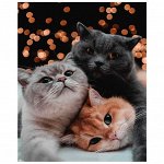 Картины по номерам 40х50 см