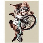 Картины по номерам 40х50 см