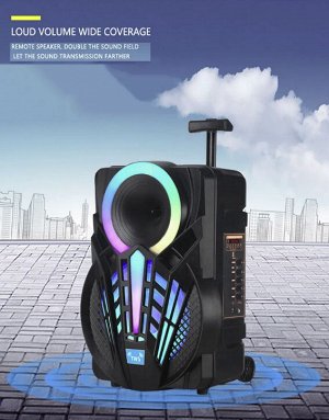 Портативная колонка с микрофоном Professional Battery Speaker System NDR-P08\ 15 Вт