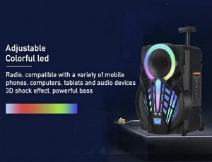 Портативная колонка с микрофоном Professional Battery Speaker System NDR-P08\ 15 Вт