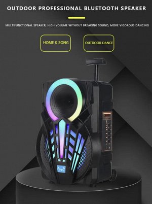 Портативная колонка с микрофоном Professional Battery Speaker System NDR-P08\ 15 Вт