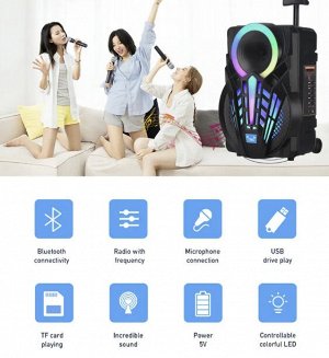Портативная колонка с микрофоном Professional Battery Speaker System NDR-P08\ 15 Вт
