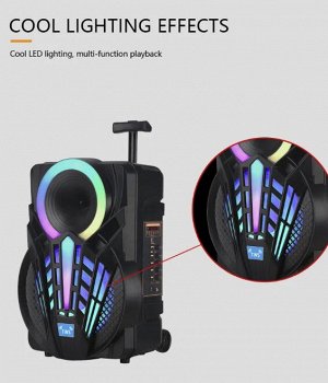 Портативная колонка с микрофоном Professional Battery Speaker System NDR-P08\ 15 Вт
