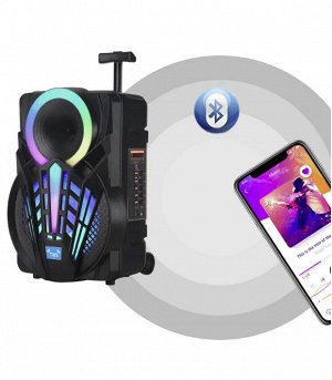 Портативная колонка с микрофоном Professional Battery Speaker System NDR-P08\ 15 Вт