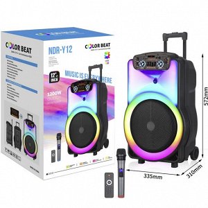 Портативная колонка с микрофоном Wireless Speaker  NDR-Y12