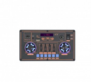Портативная колонка с микрофоном ( 2 шт.)  Portable Sound System  B-V12