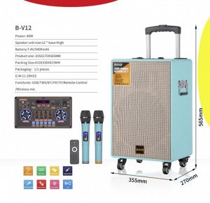 Портативная колонка с микрофоном ( 2 шт.)  Portable Sound System  B-V12