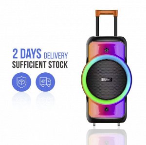 Портативная колонка с микрофоном Rechargeable Party Speaker NDR-128