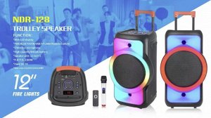 Портативная колонка с микрофоном Rechargeable Party Speaker NDR-128