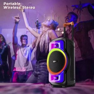 Портативная колонка с микрофоном Rechargeable Party Speaker NDR-128