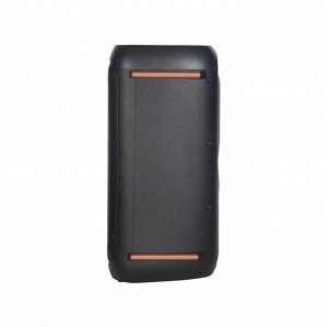 Портативная колонка с микрофоном Karaoke Speaker System NDR-610